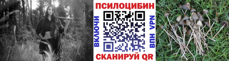 Галлюциногенные грибы MAGIC MUSHROOMS Первомайск