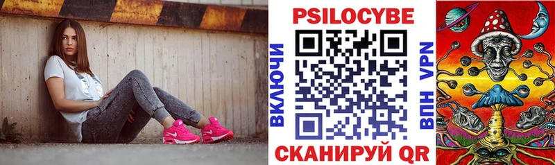 Галлюциногенные грибы Psilocybine cubensis гидра Первомайск
